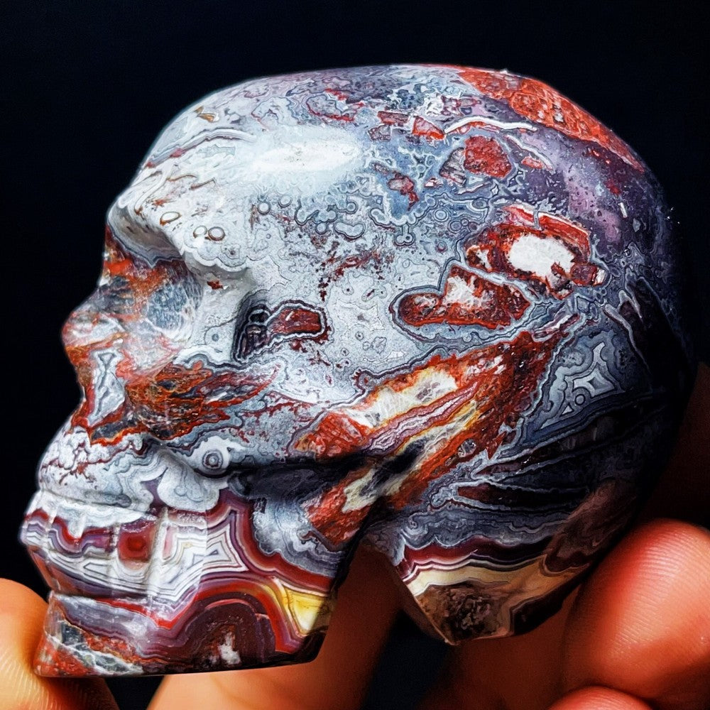 830G Handcarved Skull Mexico Lace Agate Crystal Healing