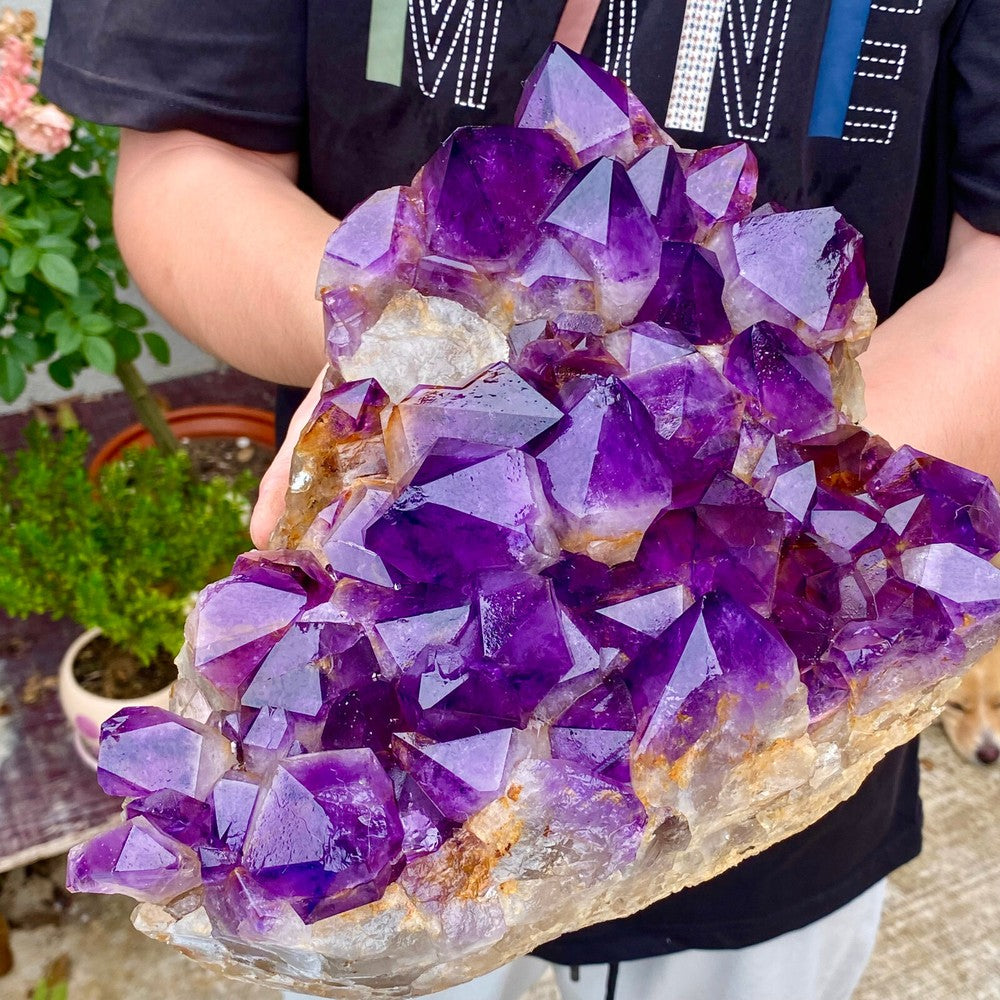 11.12LB Natural Amethyst geode quartz cluster crystal specimen Healing