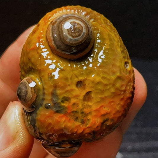 Natural Gobi Agate Eyes Agate Crystal Stone Healing