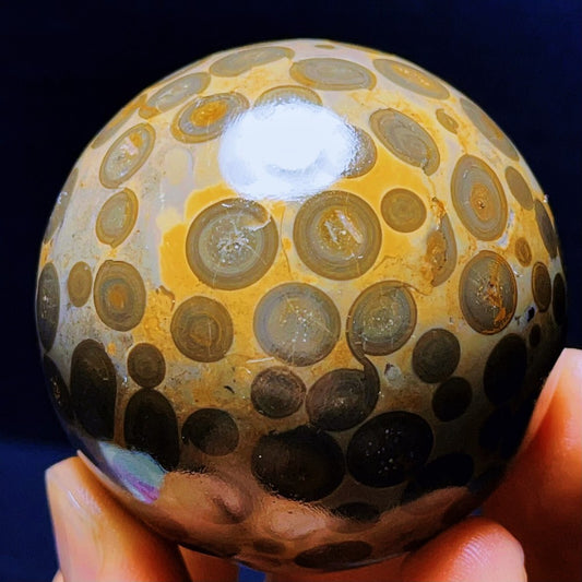 274G Natural Colorful Leopard Stone Eyes Agate Sphere Ball Crystal Stone Healing