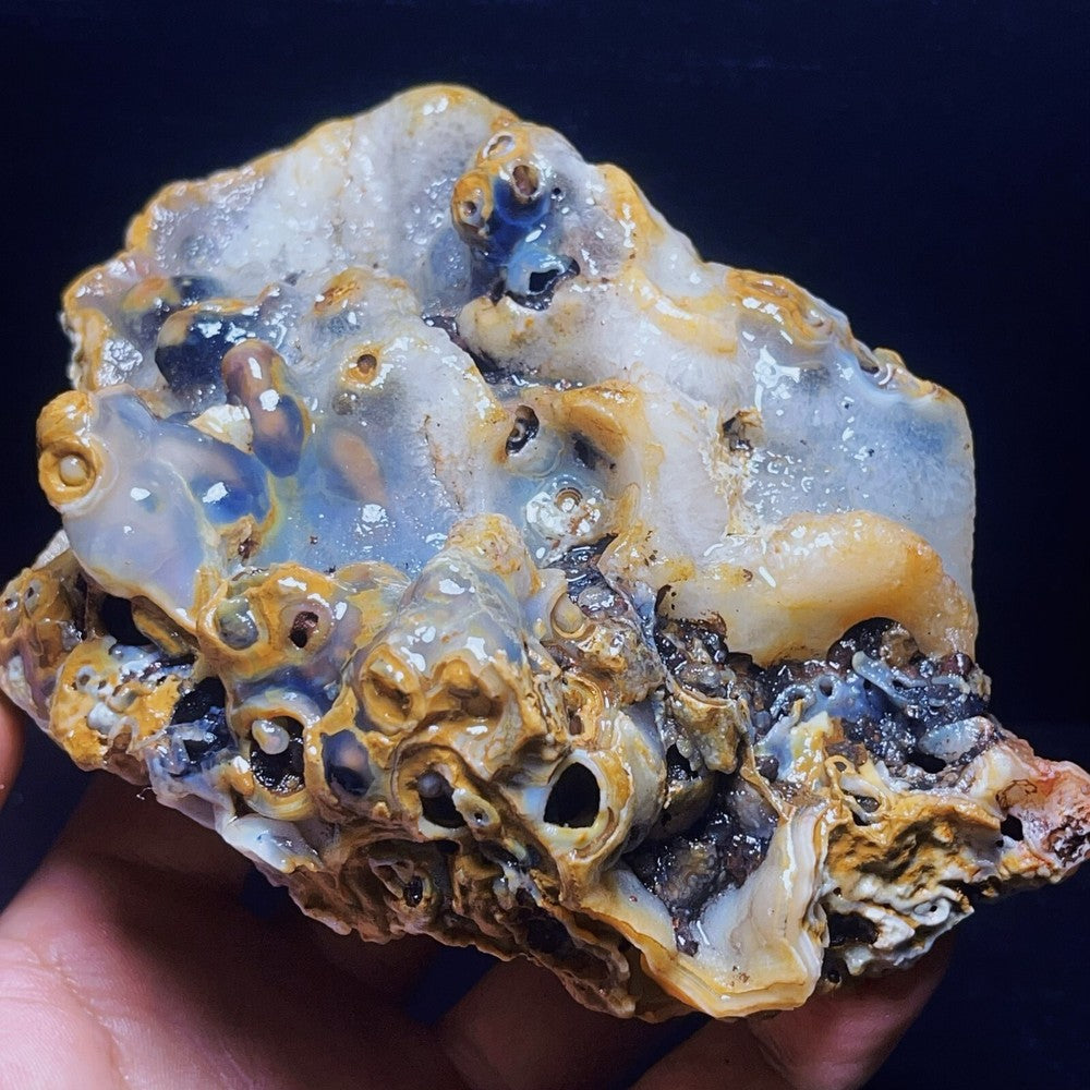986G Natural Gobi Agate Eyes Agate Crystal Stone Mineral SpecimenHealing