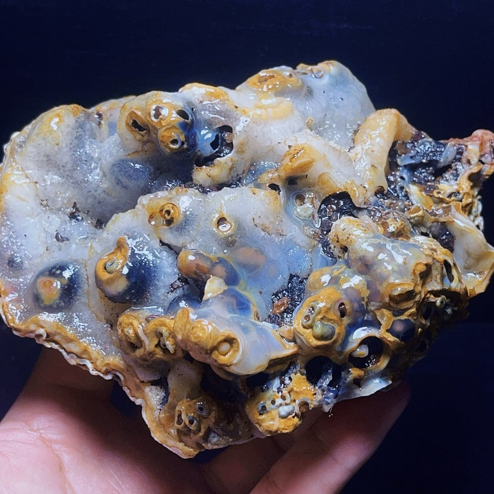 986G Natural Gobi Agate Eyes Agate Crystal Stone Mineral SpecimenHealing