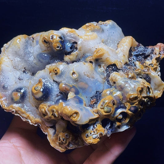 986G Natural Gobi Agate Eyes Agate Crystal Stone Mineral SpecimenHealing