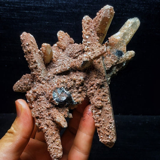 454G Phantom Quartz black tourmaline mineral symbiotic body
