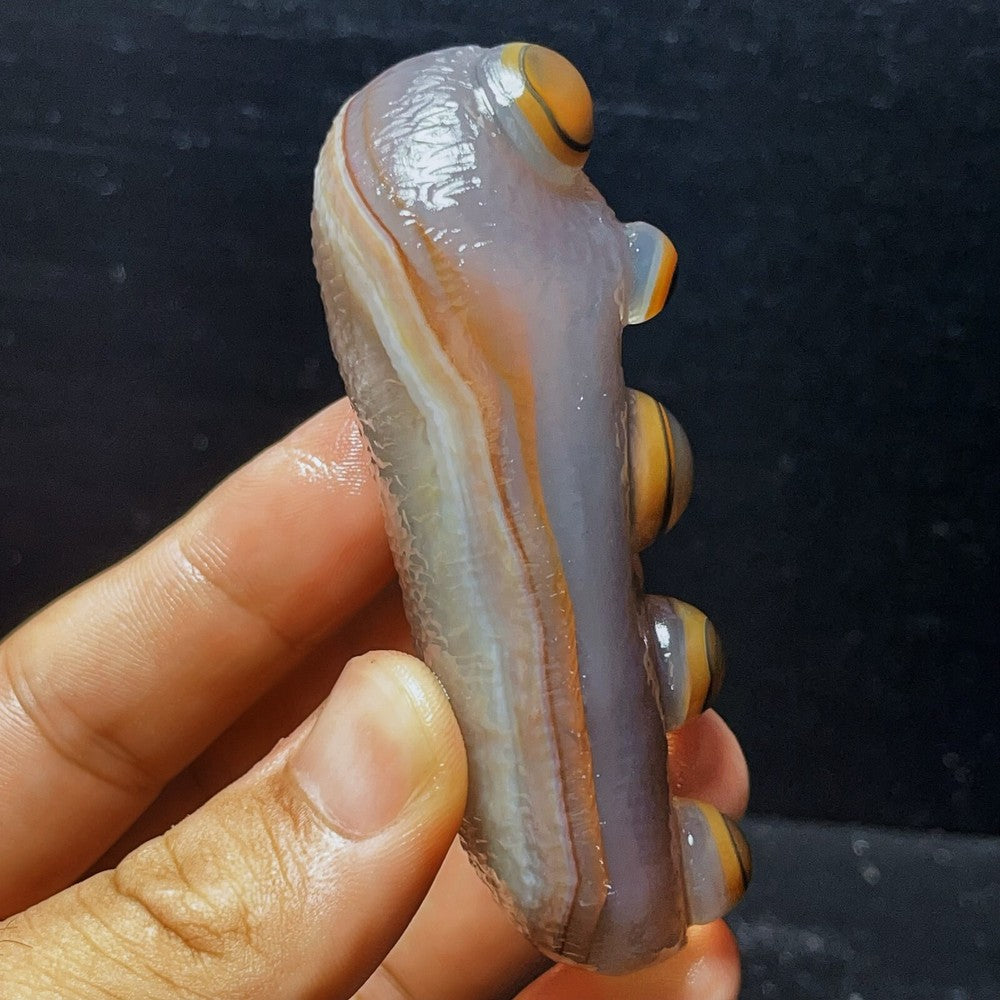 Natural Gobi Agate Eyes Agate Crystal Stone Madagascar