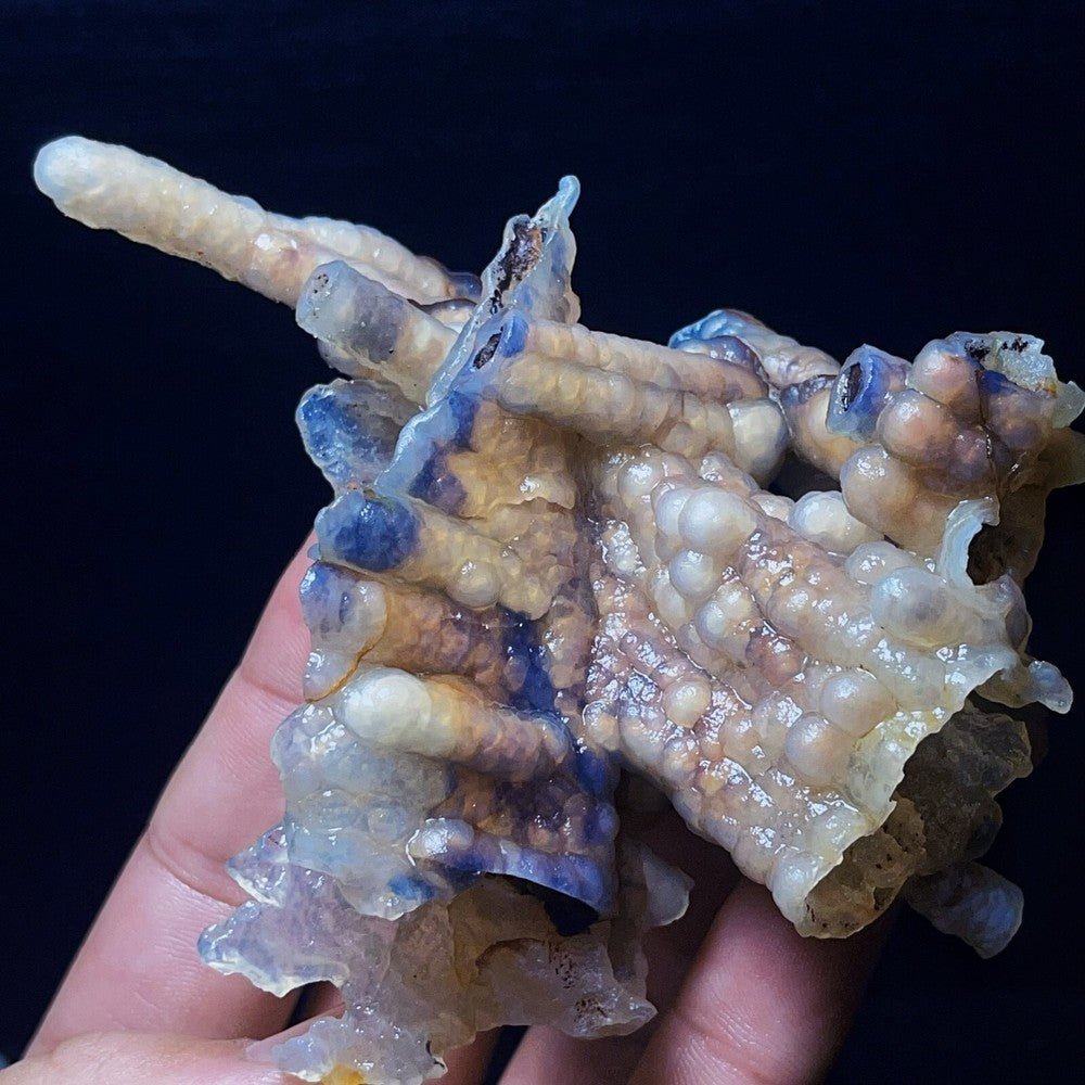 139G Natural China's Gobi Desert Agate Eyes Crystal Healing