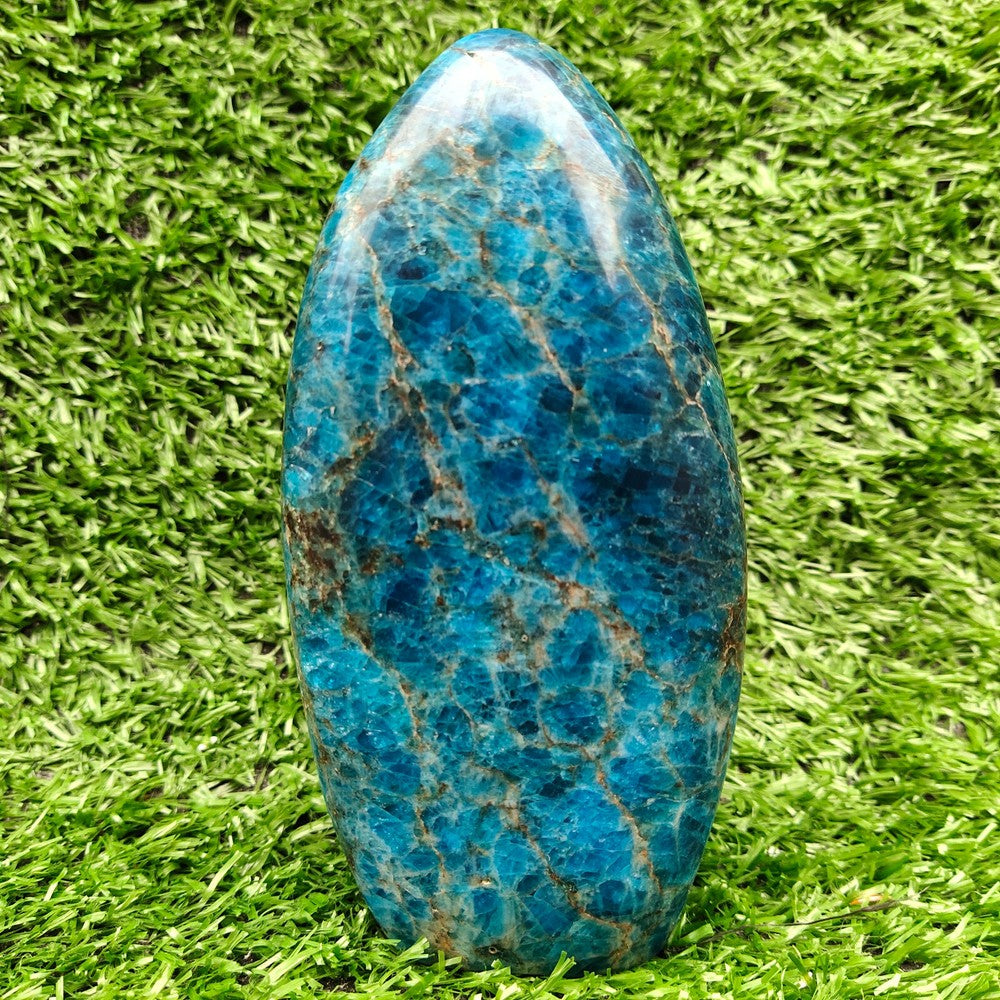 1.5LB+ Natural Apatite quartz crystal mineral crystal Specimen healing