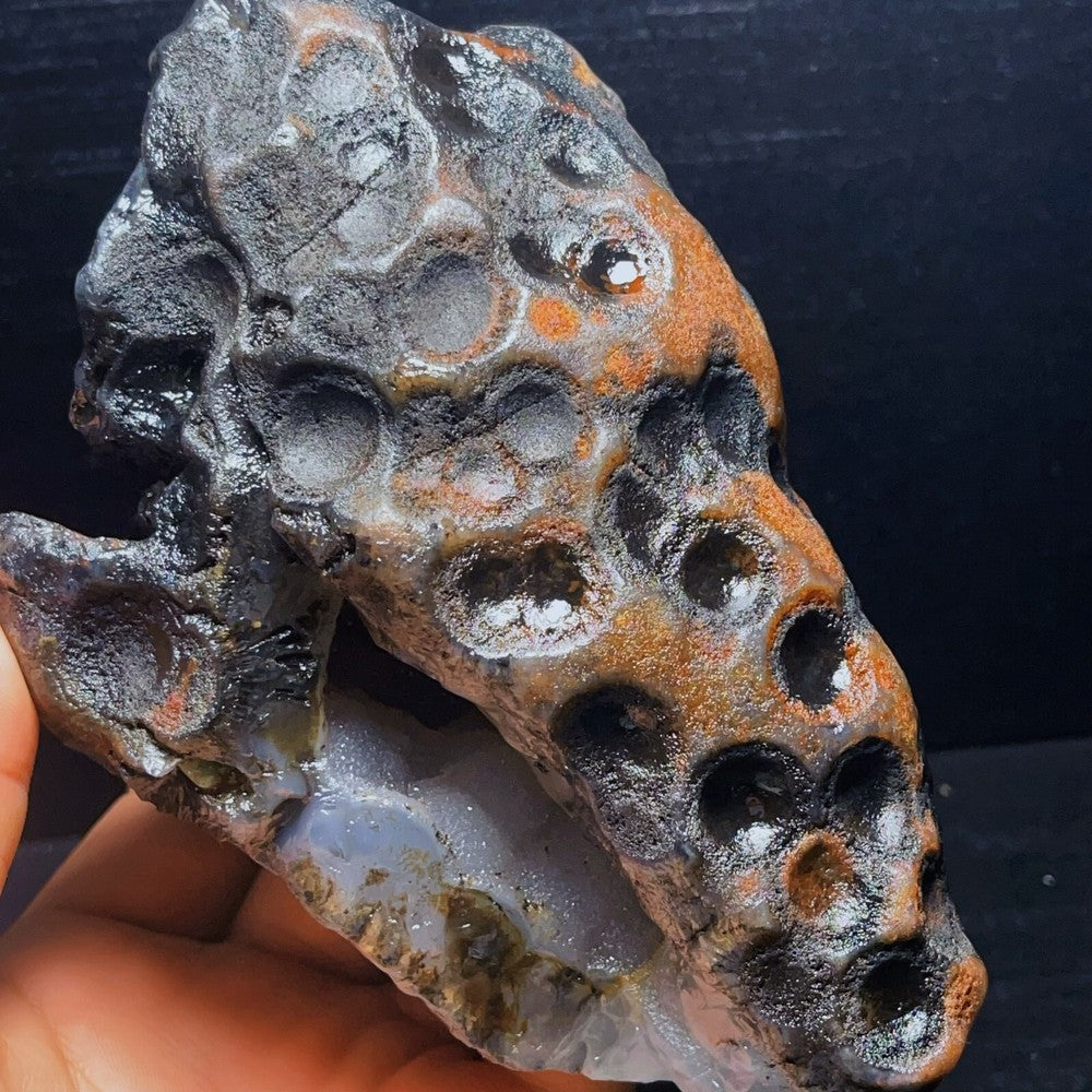 Natural Gobi Desert Agate Eyes Agate Mineral Specimen