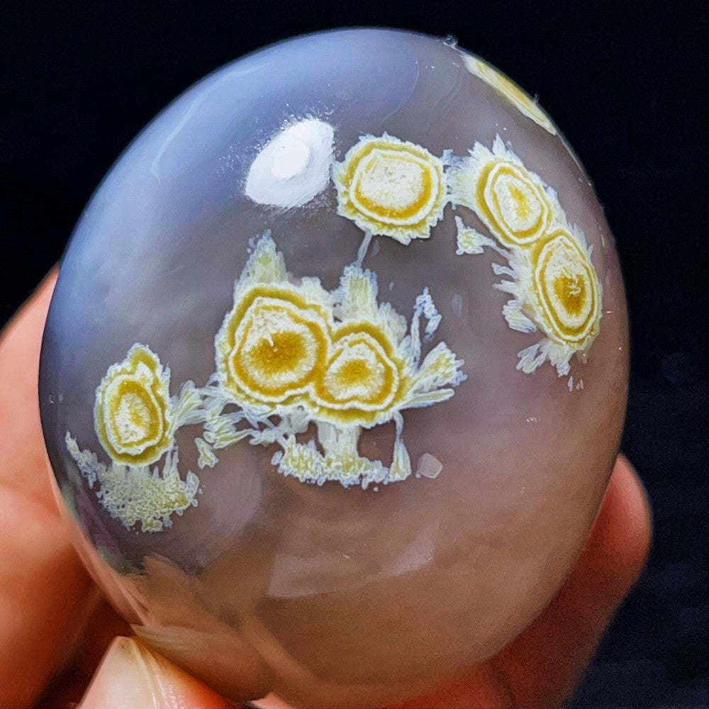 RARE 157G Natural Inner Mongolia Gobi Agate Eyes Agate Crystal Stone