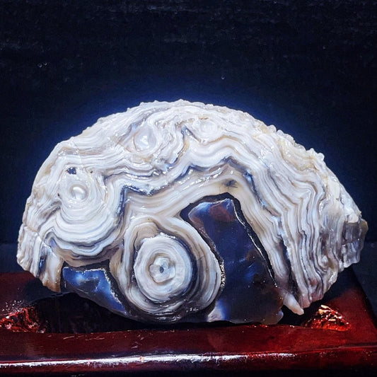 306G Natural Gobi Desert Agate Eyes Crystal Healing Mineral specimen