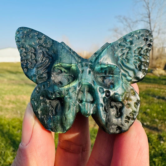 Natural Labradorite Hand Carved Butterfly Skull Quartz Crystal Specimen Healing