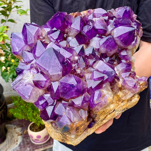 26.43LB Natural Amethyst geode quartz cluster crystal specimen Healing