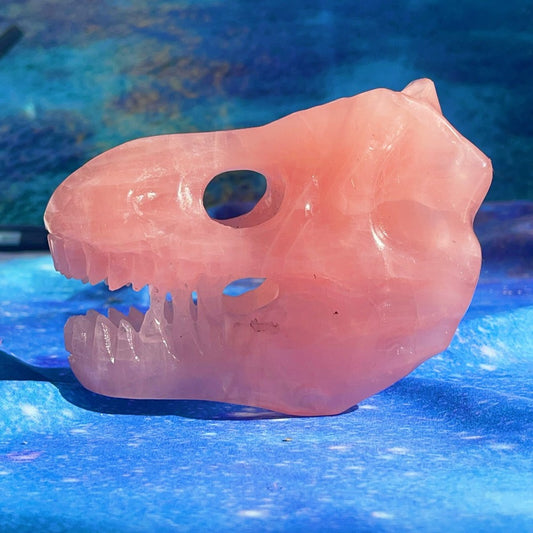 550G Natural Polished Hand carved Powder crystal Dinosaur Skull