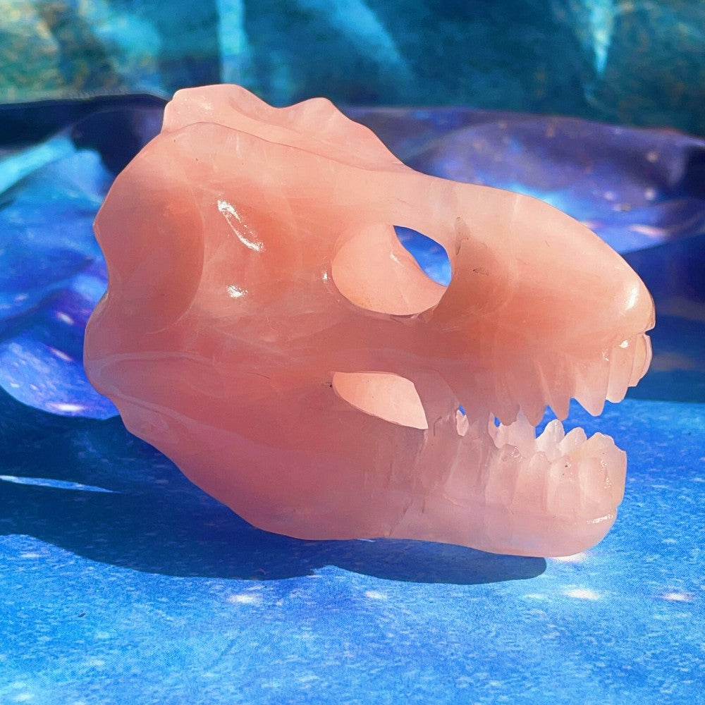 550G Natural Polished Hand carved Powder crystal Dinosaur Skull