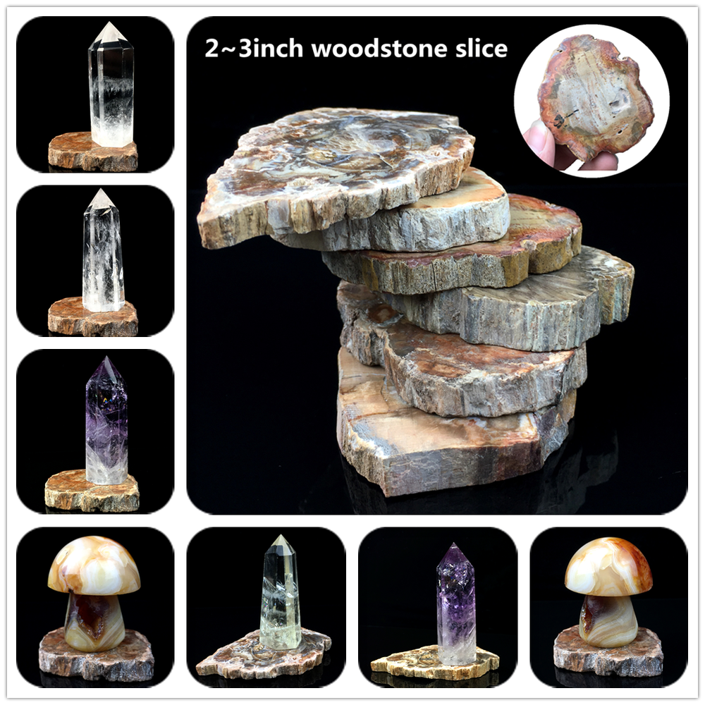 Natural Polished Microsection Petrified Wood Quartz Crystal Gift Healing 1PC