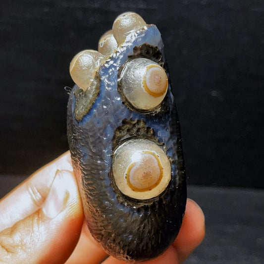 197G Natural Gobi Agate Eyes Agate Crystal Stone Madagascar