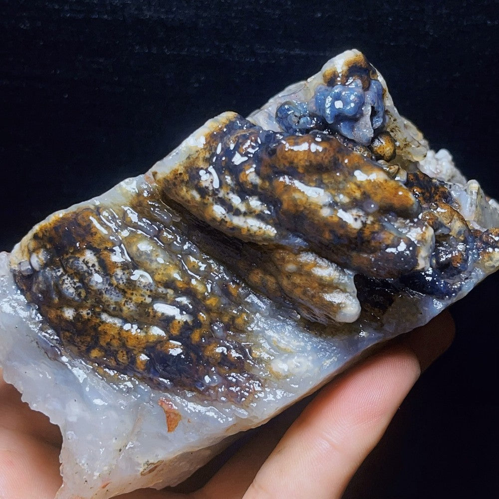 845G Natural Gobi Agate Eyes Agate Crystal Stone Healing