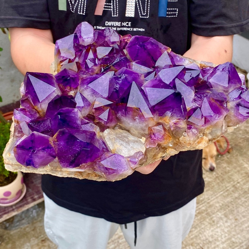 11.12LB Natural Amethyst geode quartz cluster crystal specimen Healing
