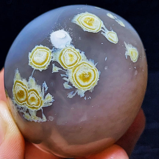 RARE 157G Natural Inner Mongolia Gobi Agate Eyes Agate Crystal Stone