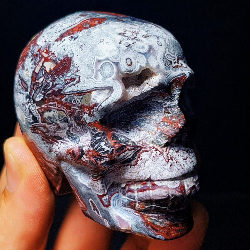 830G Handcarved Skull Mexico Lace Agate Crystal Healing