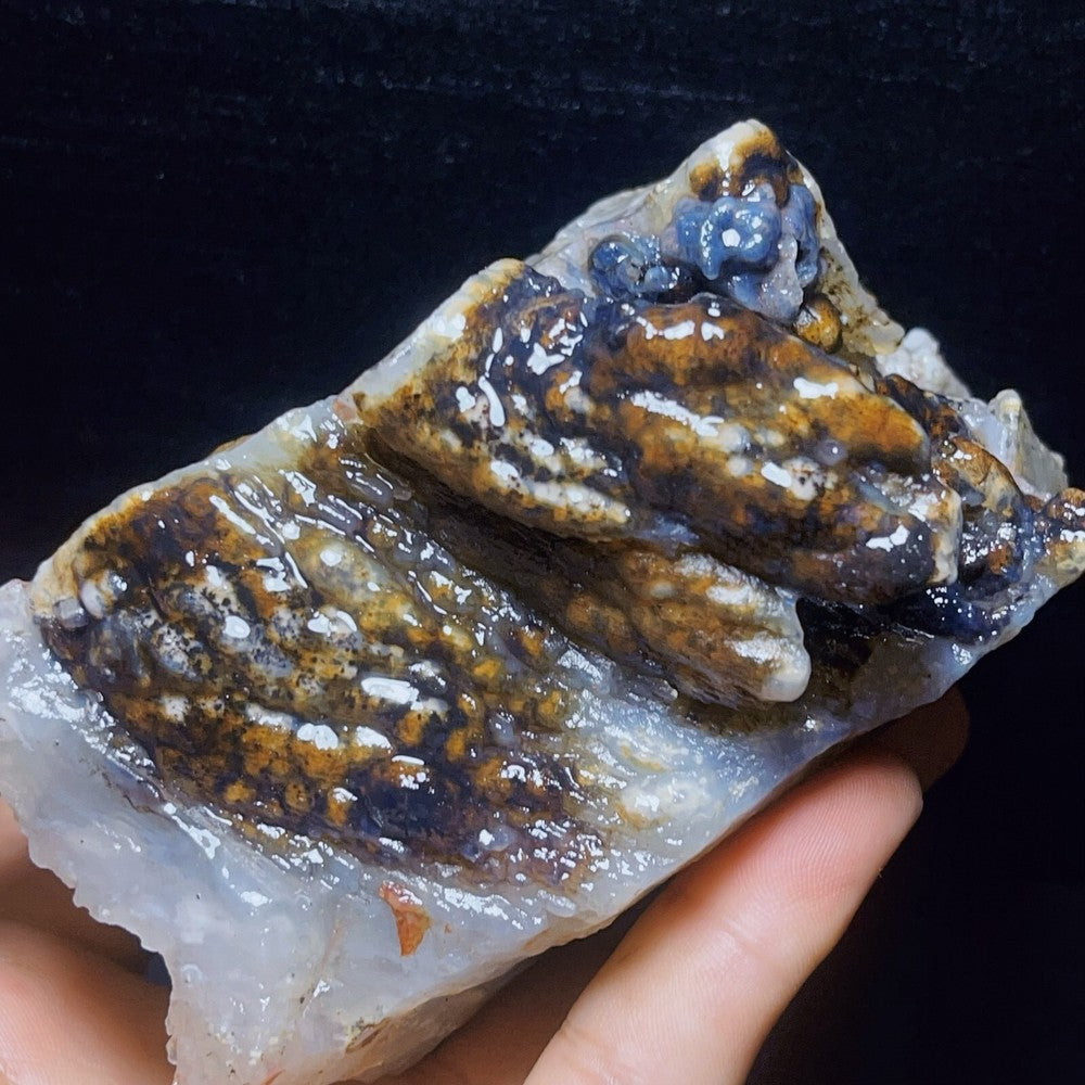 845G Natural Gobi Agate Eyes Agate Crystal Stone Healing