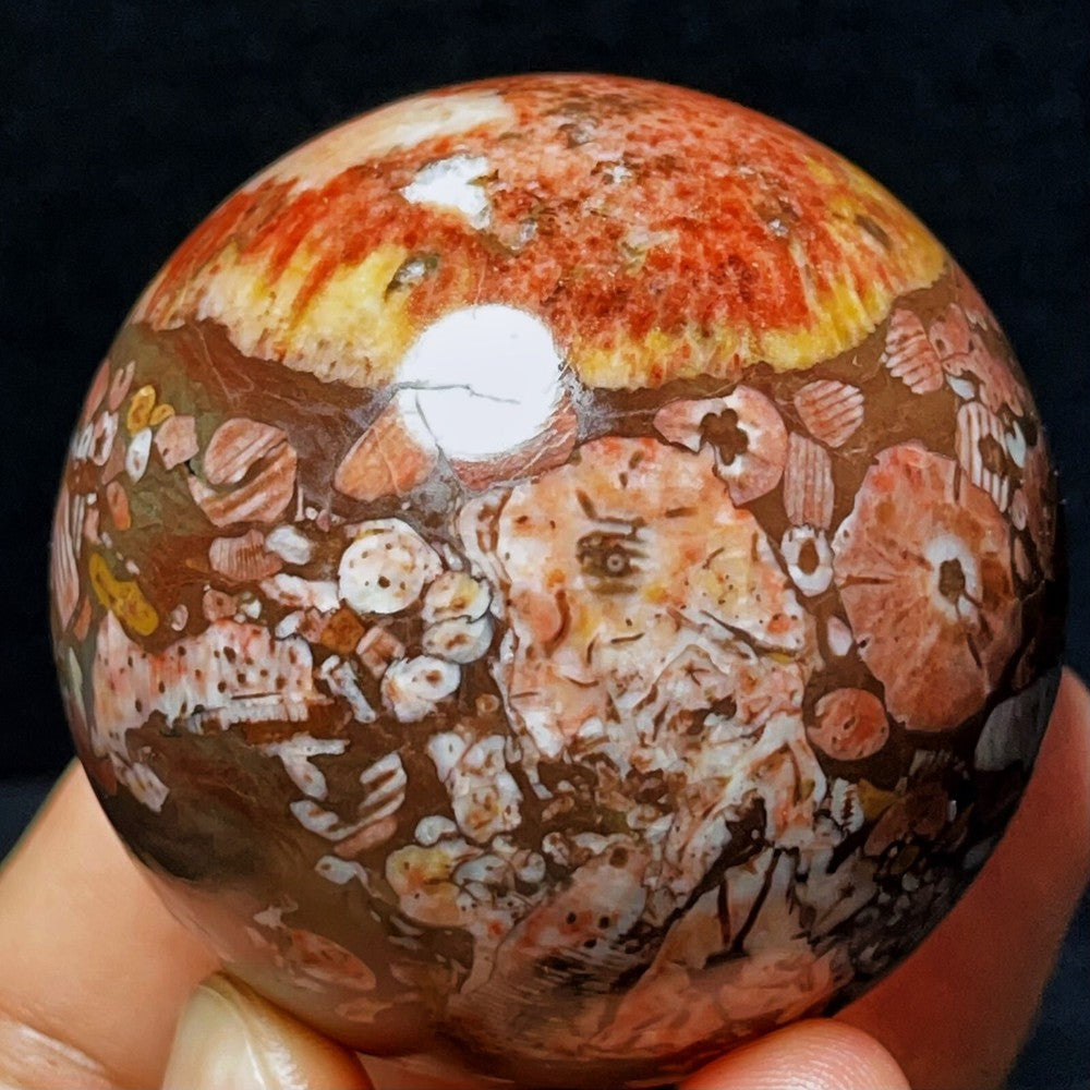 283G Natural Colorful Agate And Shell Symbiotic Sphere/Ball Healing