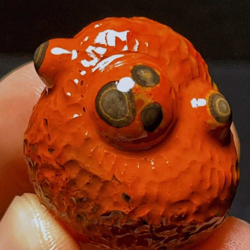 Natural Gobi Agate Eyes Agate Crystal Stone Madagascar