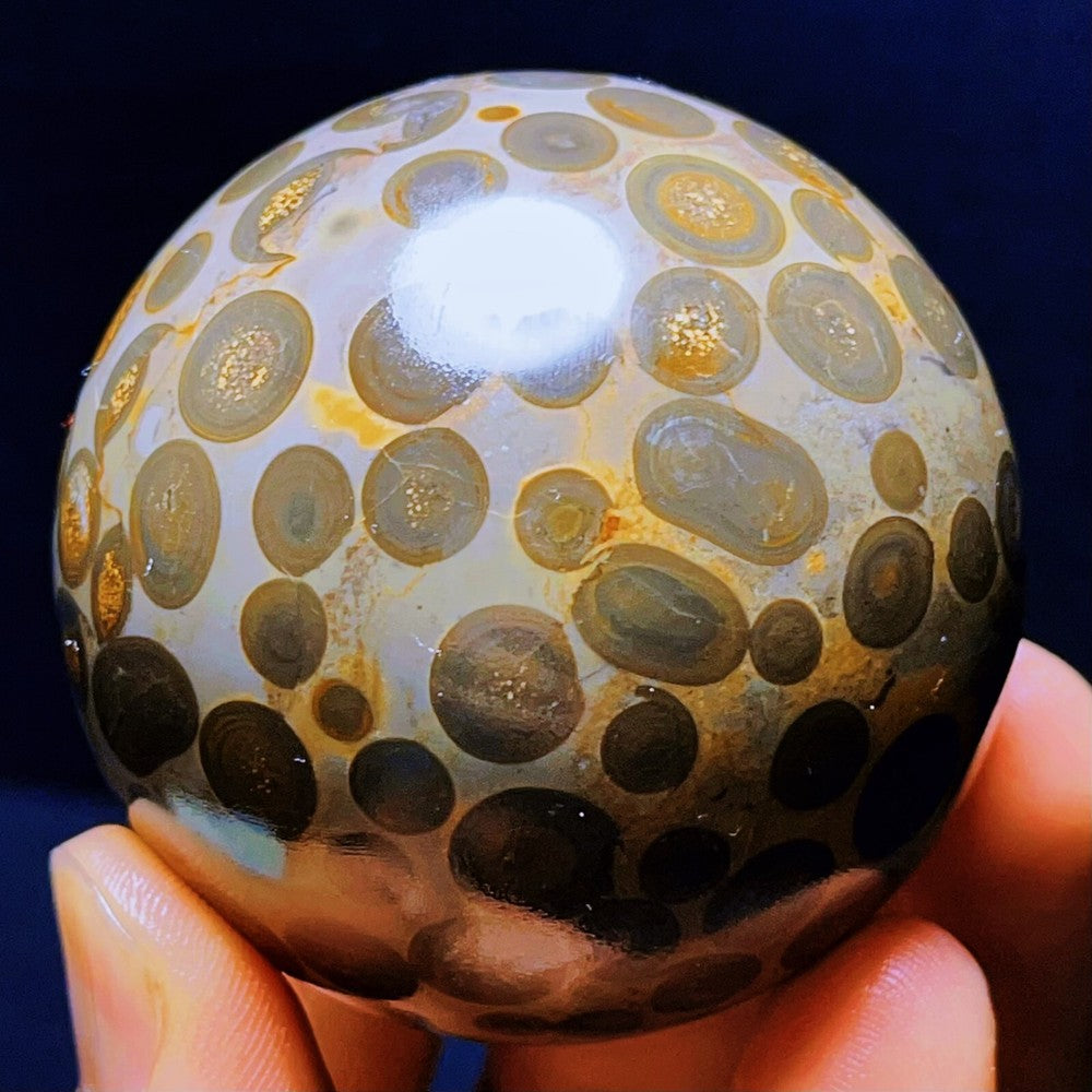274G Natural Colorful Leopard Stone Eyes Agate Sphere Ball Crystal Stone Healing