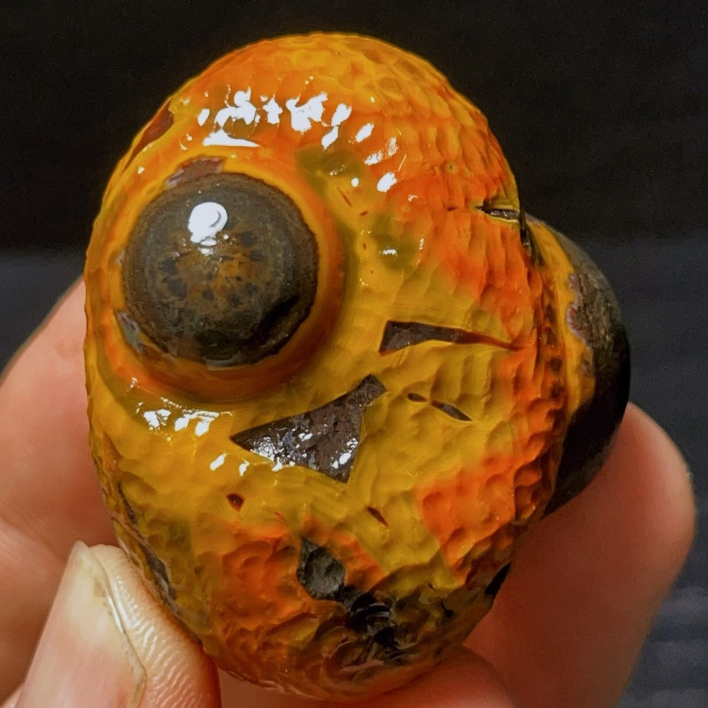 Natural Gobi Agate Eyes Agate Crystal Stone Healing