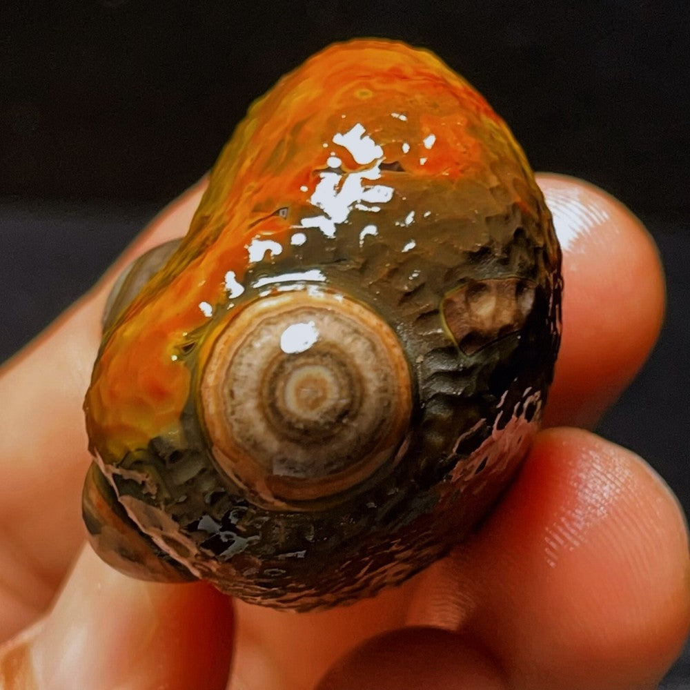Natural Gobi Agate Eyes Agate Crystal Stone Healing