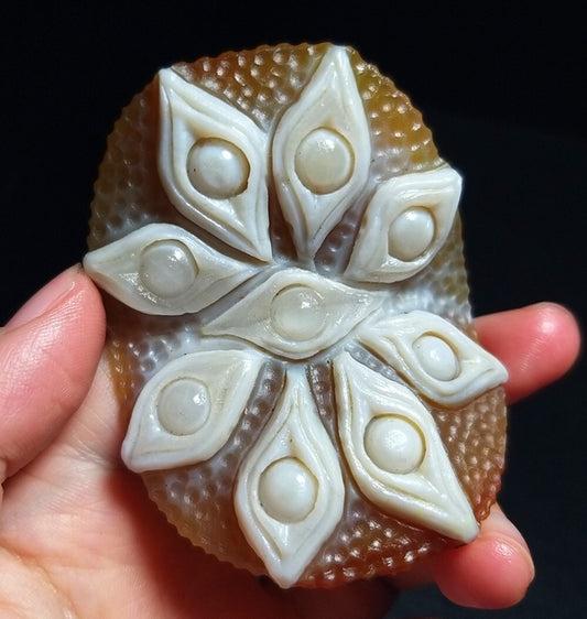 Natural Beautiful Gobi Agate Eyes Agate Stone Healing Special Gift