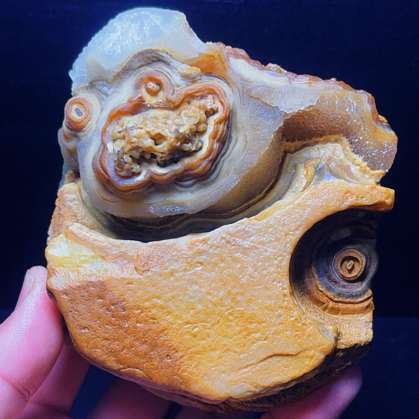 1051G Natural Gobi Agate Eyes Agate Crystal Stone Madagascar