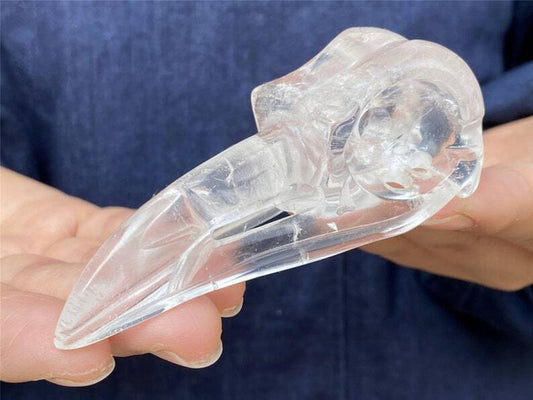 3"+ Natural Clear Quartz Carved crow Skull Quartz Crystal Skull home decor 1PC