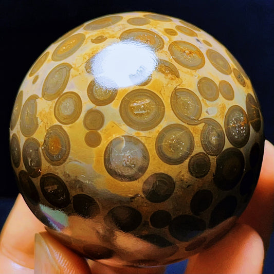 274G Natural Colorful Leopard Stone Eyes Agate Sphere Ball Crystal Stone Healing