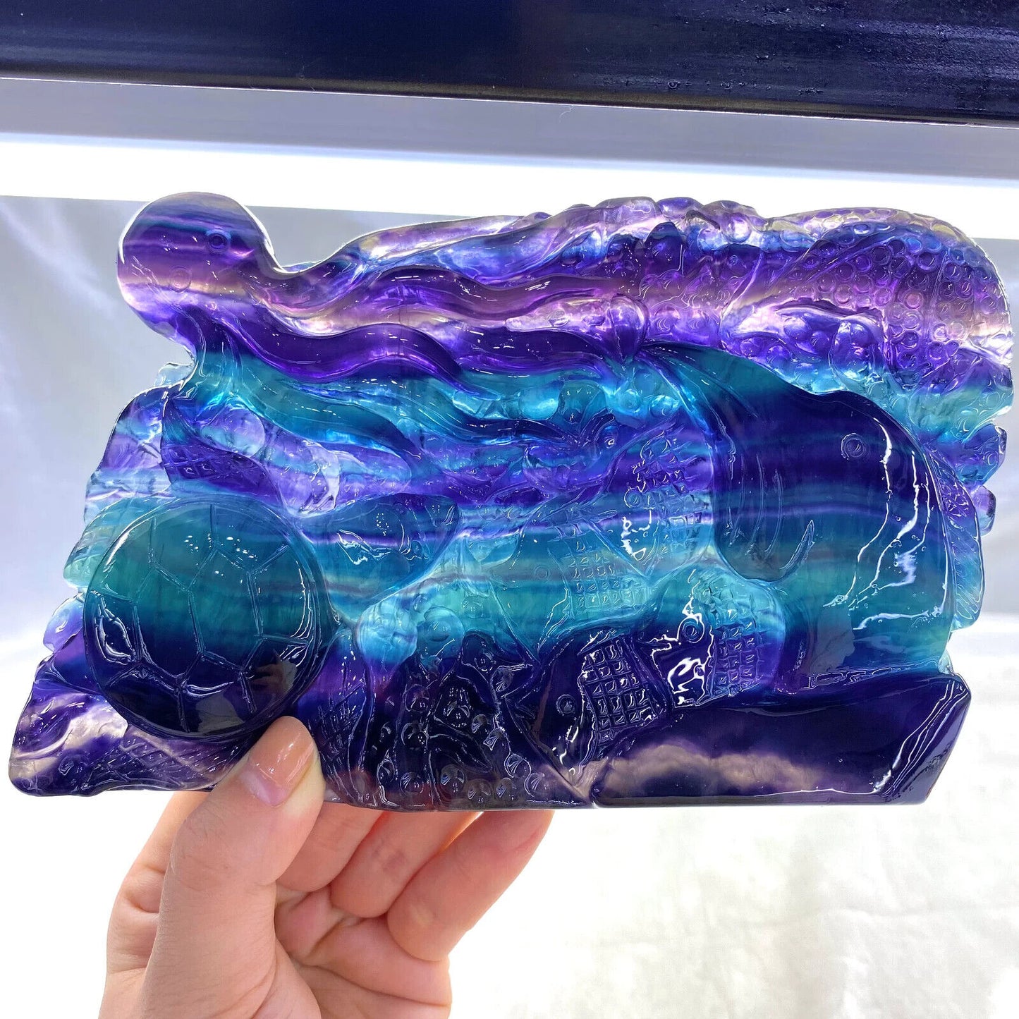 Natural Handcarved Fluorite Underwater World Organisms Crystal Healing SL