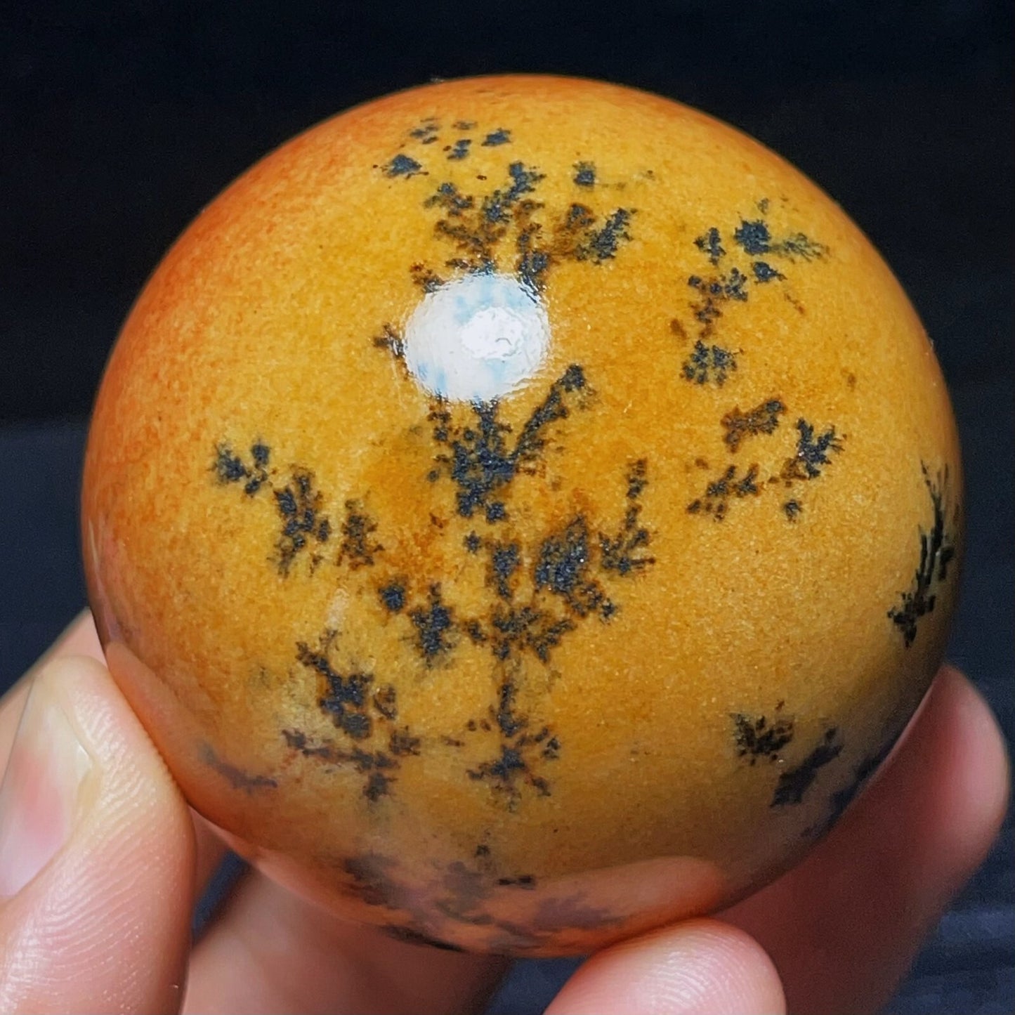 Natural Polished Ocean Jasper Sphere Ball Crystal Stone Healing