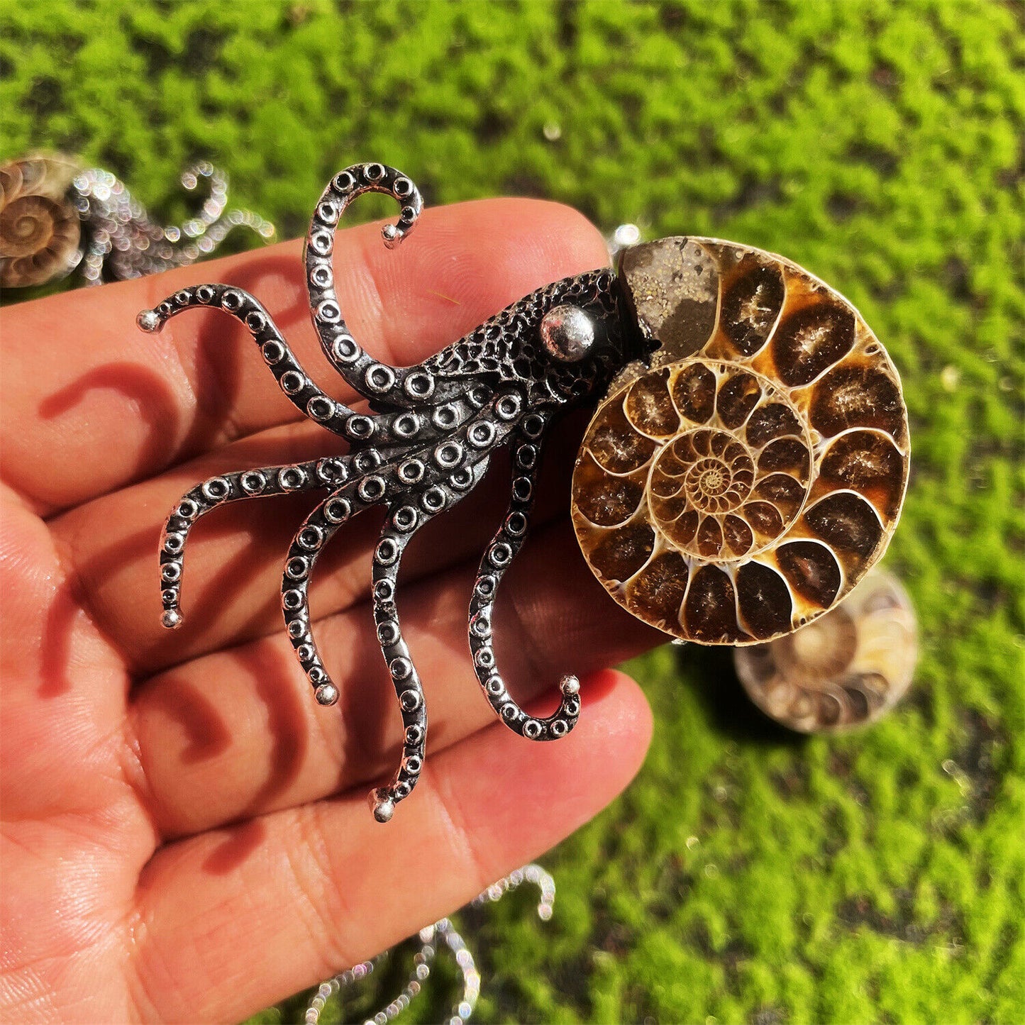 Natural Ammonite Fossil Conch Specimen Healing brooch 1pc