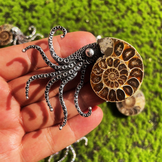 Natural Ammonite Fossil Conch Specimen Healing brooch 1pc