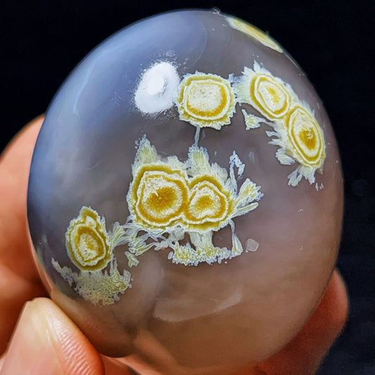 RARE 157G Natural Inner Mongolia Gobi Agate Eyes Agate Crystal Stone