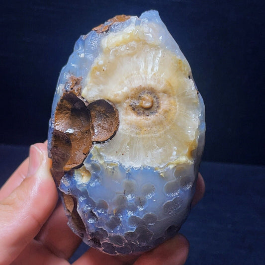 531G Natural China's Gobi Desert Gobi Agate Eyes Agate Crystal Healing
