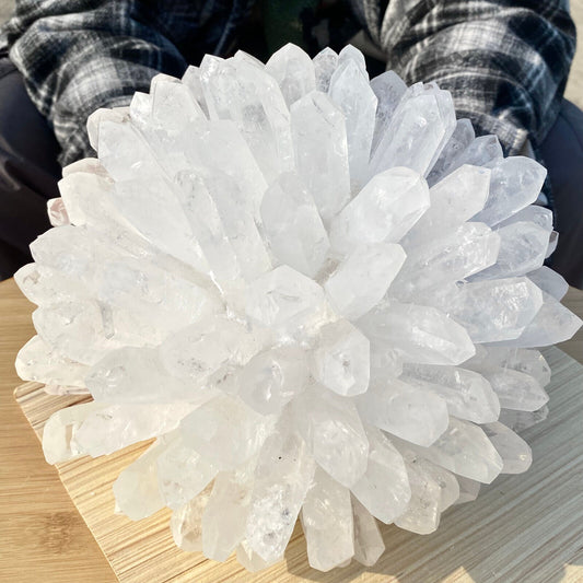 15.93LB Newly discovered white phantom quartz crystal cluster mineral sample.