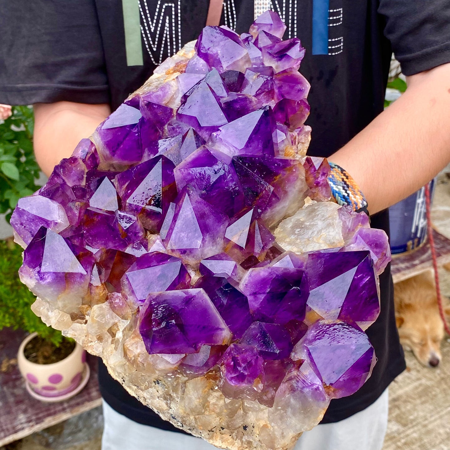 11.12LB Natural Amethyst geode quartz cluster crystal specimen Healing