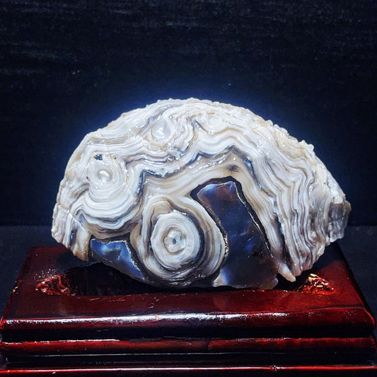 306G Natural Gobi Desert Agate Eyes Crystal Healing Mineral specimen