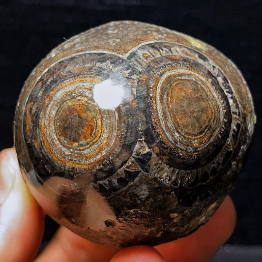 303G Natural Gobi Agate Eyes Agate Crystal Stone Healing