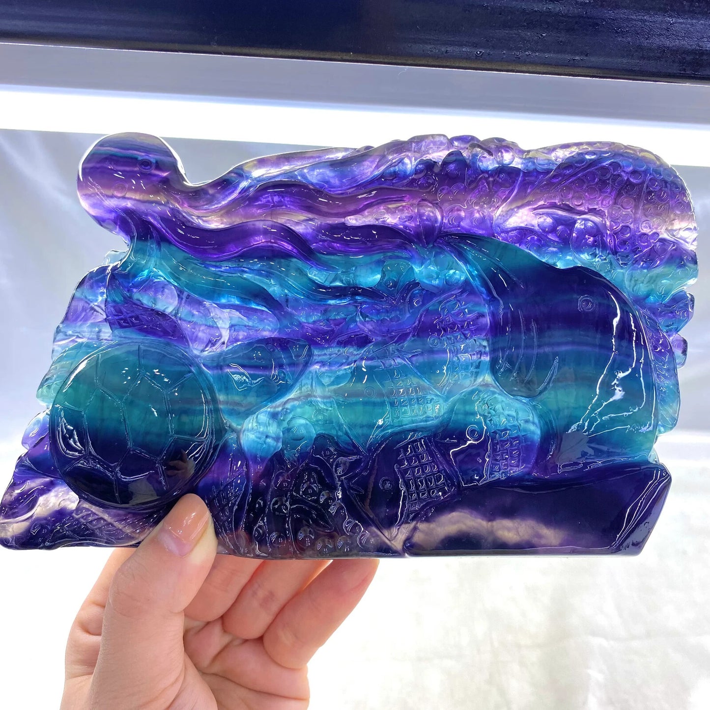 Natural Handcarved Fluorite Underwater World Organisms Crystal Healing SL