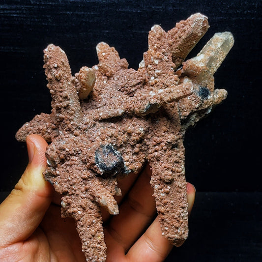 454G Phantom Quartz black tourmaline mineral symbiotic body
