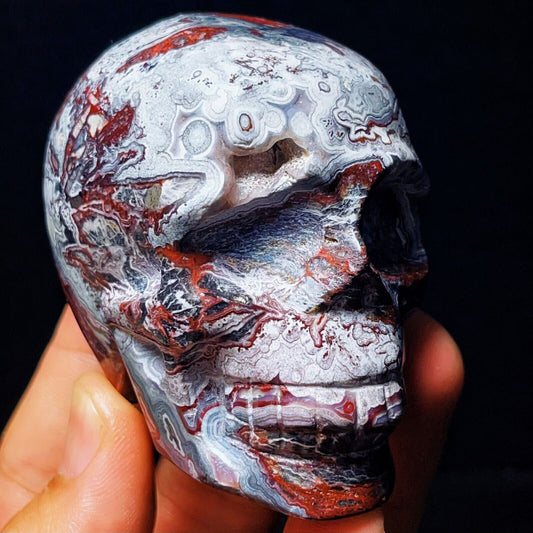 830G Handcarved Skull Mexico Lace Agate Crystal Healing