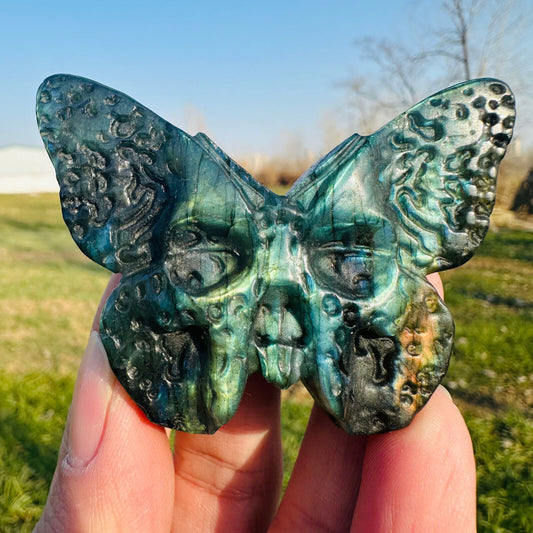 Natural Labradorite Hand Carved Butterfly Skull Quartz Crystal Specimen Healing