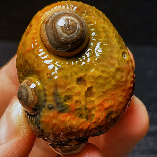 Natural Gobi Agate Eyes Agate Crystal Stone Healing