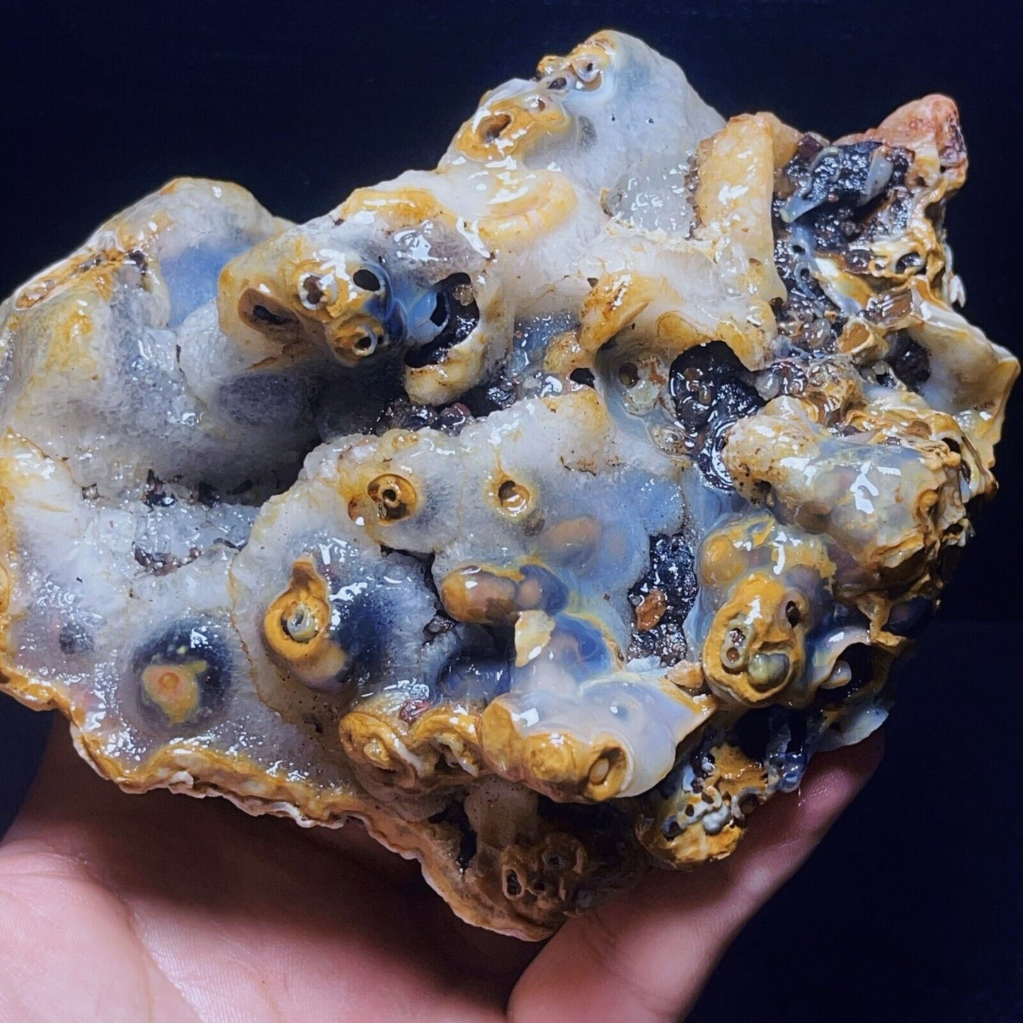 986G Natural Gobi Agate Eyes Agate Crystal Stone Mineral SpecimenHealing